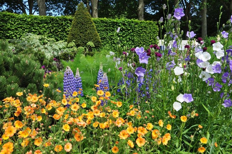 Best time to visit London, Chelsea flower show, Top Villas