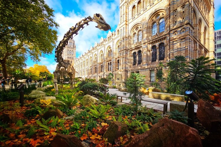 Best time to visit London, Natural History museum, Top Villas