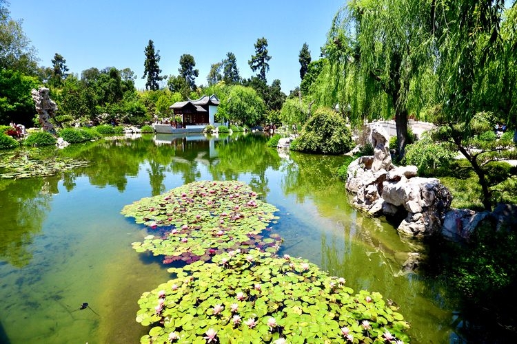 Best time to visit Los Angeles, Huntington botanical gardens, Top Villas