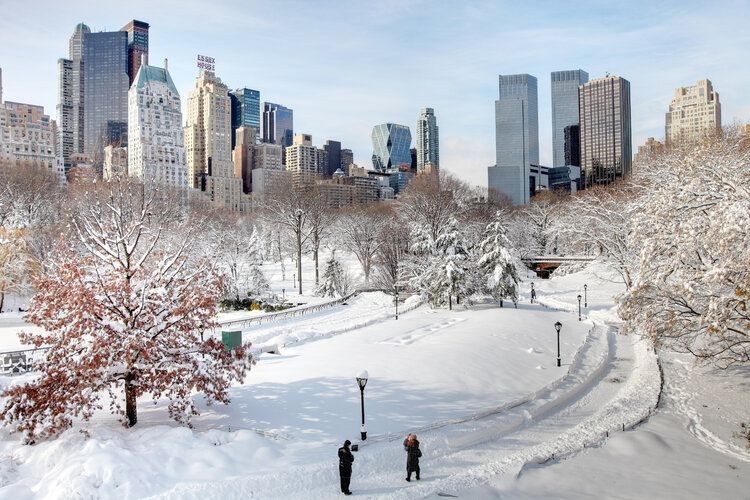 The best time to visit New York, Central Park in the snow, January, Top Villas