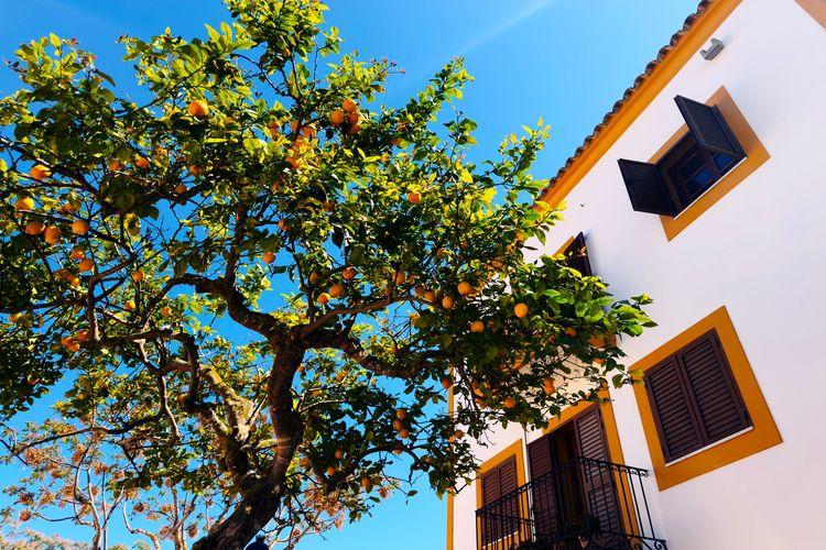 Best time to visit San Carlos, setting, Ibiza