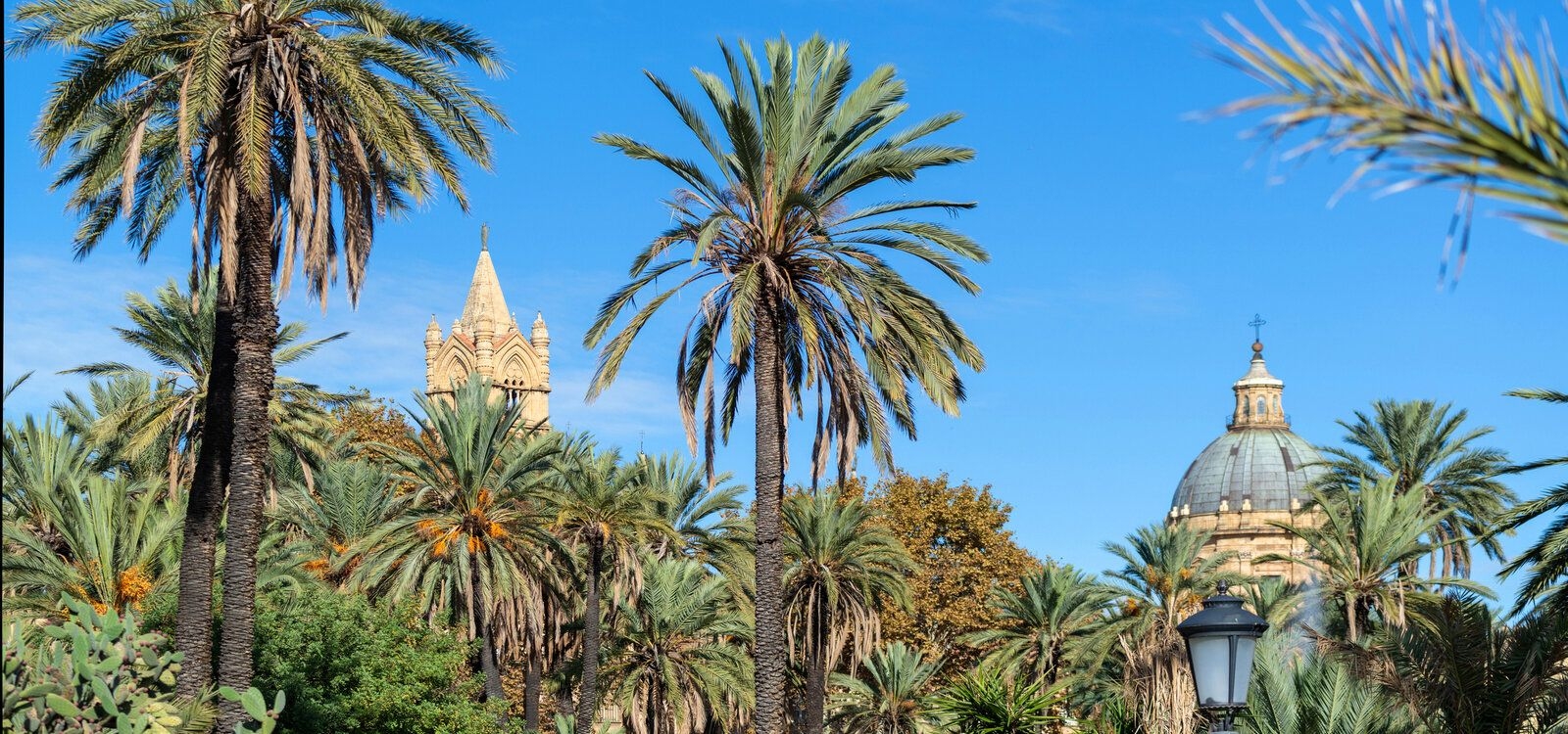 Best time to visit Sicily, palms, skyline, Top Villas