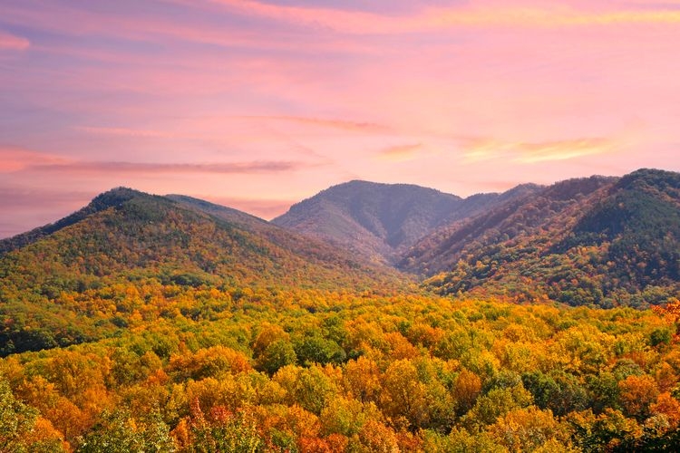 Best time to visit Tennessee, Great Smokies, early fall colors, Top Villas