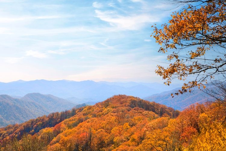 Best time to visit the Great Smoky Mountains, fall time, Top Villas