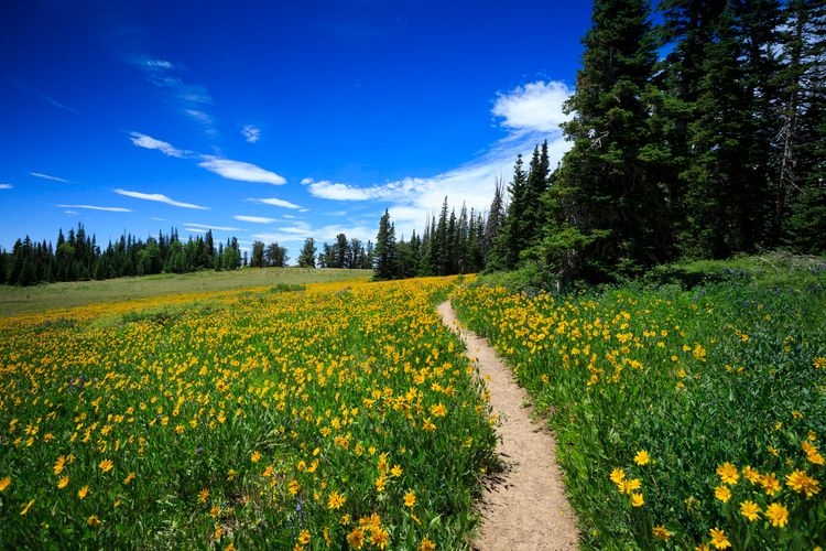 Best time to visit Utah, June, hiking, Top Villas