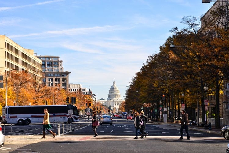 Best time to visit Washington DC, November, sightseeing, Top Villas