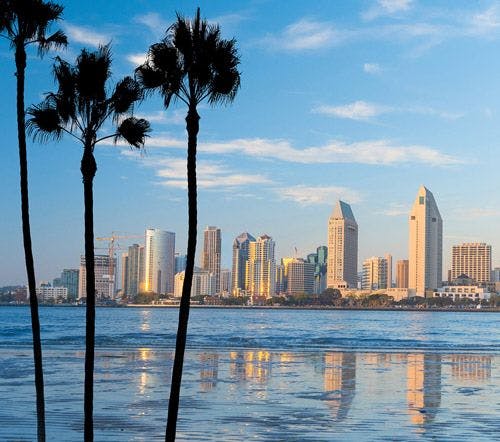 San Diego skyline with palm trees in the foreground