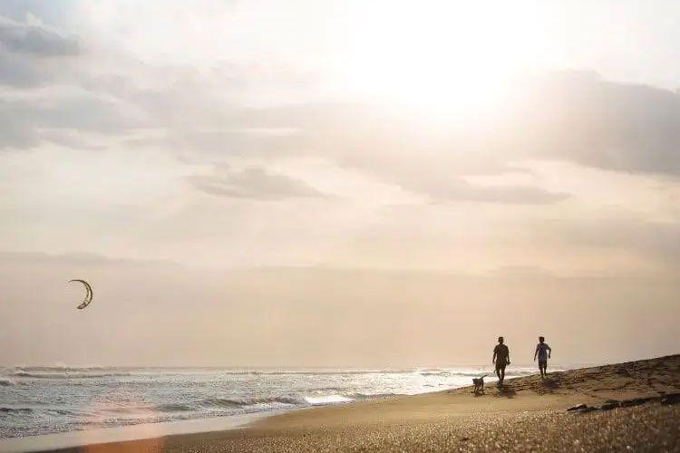 canggu beachfront villas