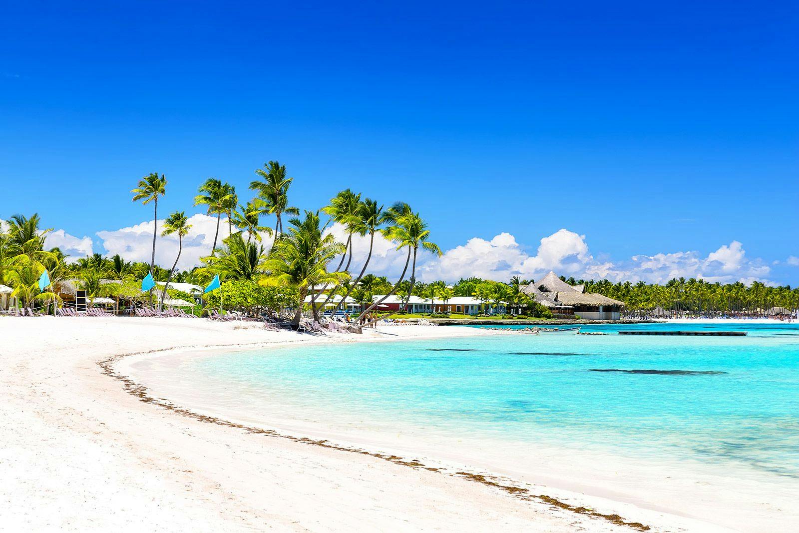 A white sand beach in Cap Cana with tall palm trees and turquoise water