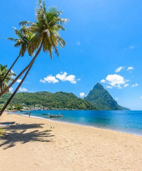 Cap Estate beach in Saint Lucia with white sand, palm trees, and a view of the Pitons