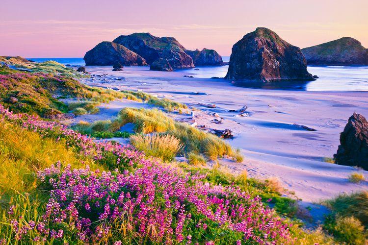 cape-sebastian-things-to-do-in-oregon.jpg