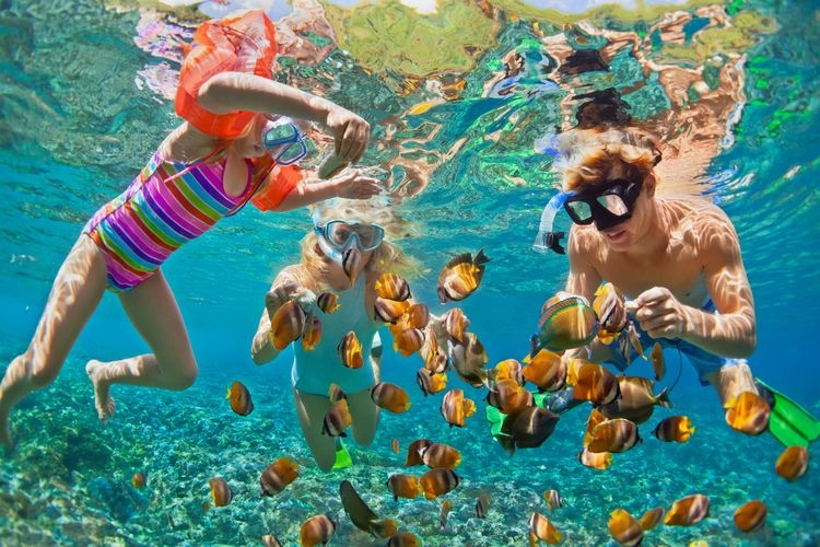 Caribbean holidays, family snorkelling, Top Villas
