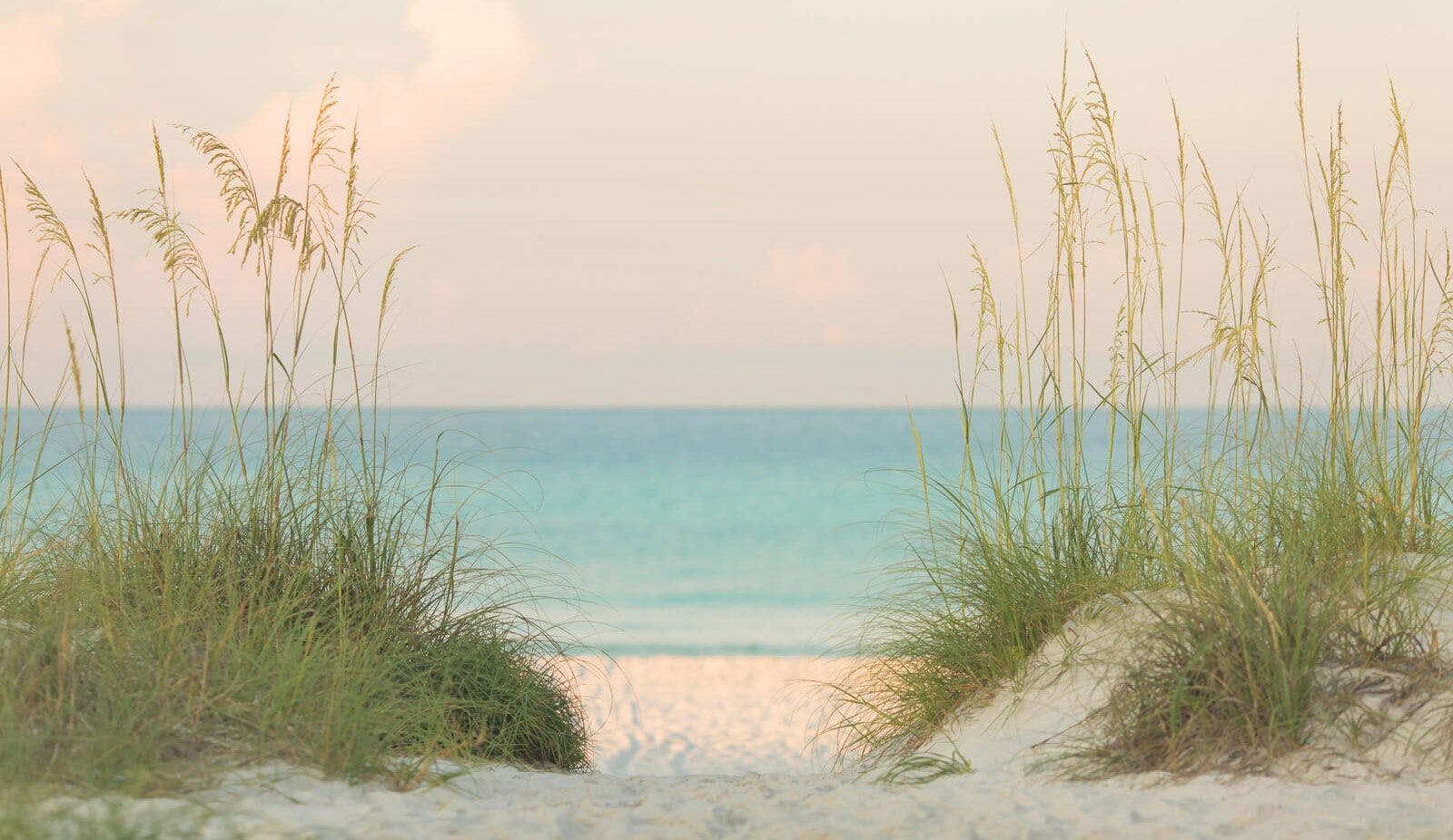 A white sand beach with beach grass in Florida