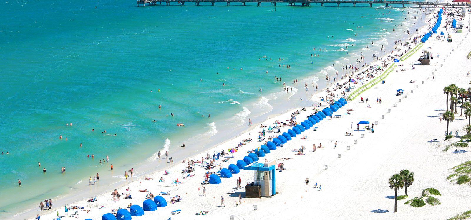 clearwater beach house rentals with private pool