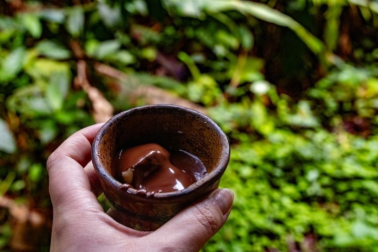 Things to do in Costa Rica, cocoa, tour, Top Villas