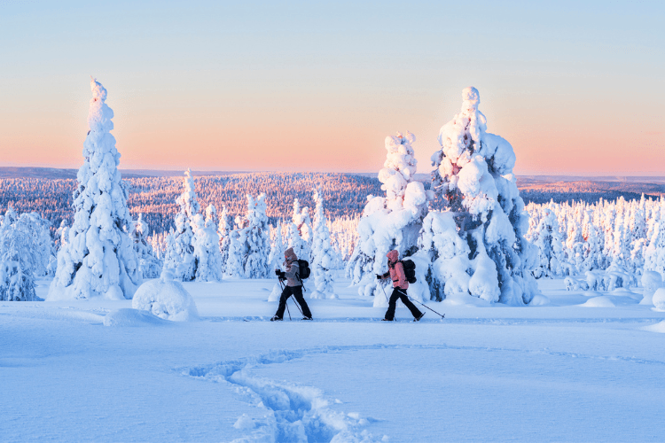 cross-country skiing
