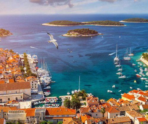 Red roofed city on the coast of Croatia with a seagull flying overhead
