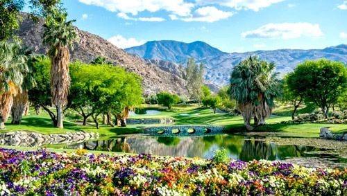 La Quinta golf course with flowers and palm trees