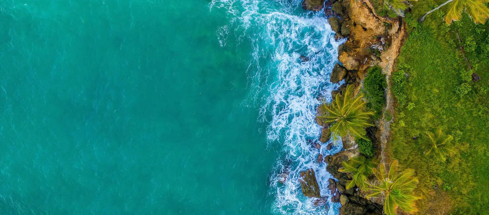 Overhead view of Jamaican coastline with rocks, palm trees, and breaking surf