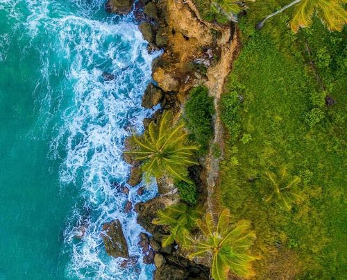 Ariel shot of Jamaica coast with rocky sea cliffs, breaking waves and palm tree