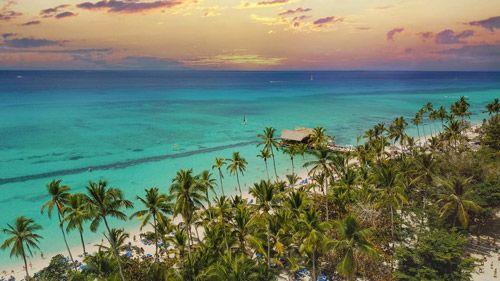 Dominican Republic coastline at sunset with palm forest