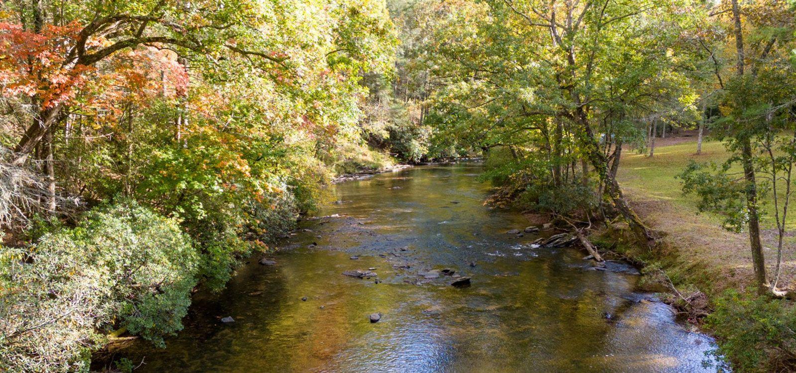 Ellijay cabin rentals, North Georgia riverside, nature, woodland