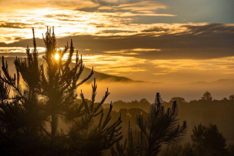 View of Ellijay in Georgia, Top Villas