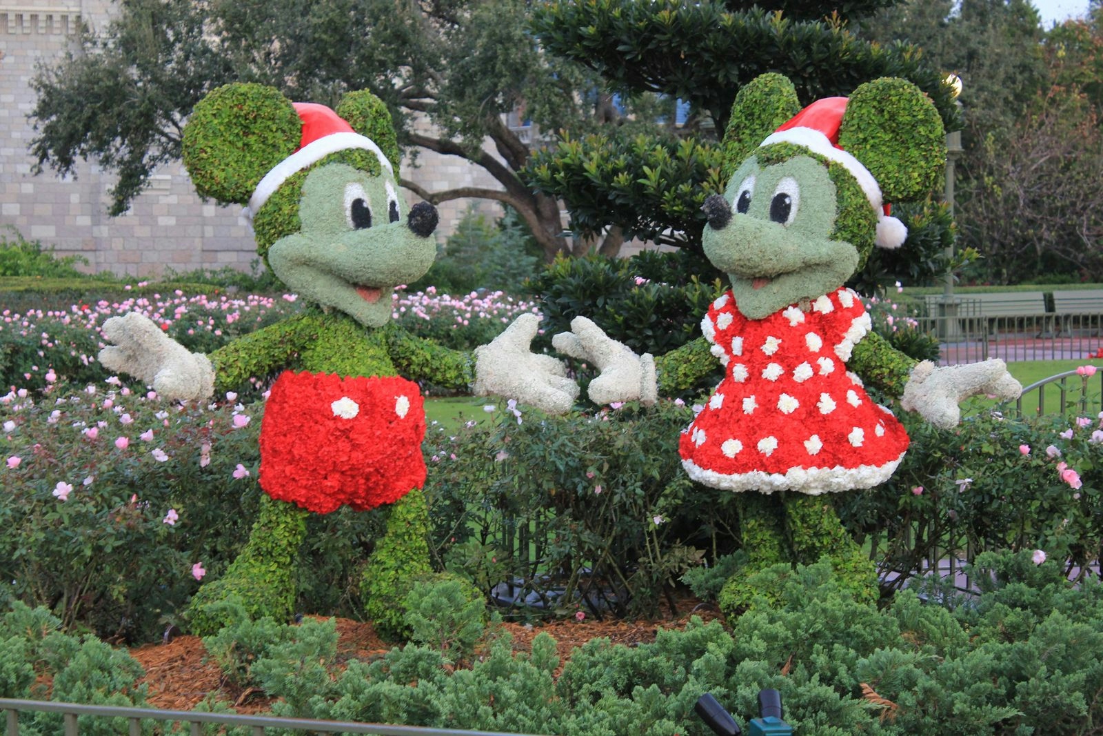 Mickey and Minnie mouse made out of flowers and shrubbery at EPCOT International Flower & Garden Festival