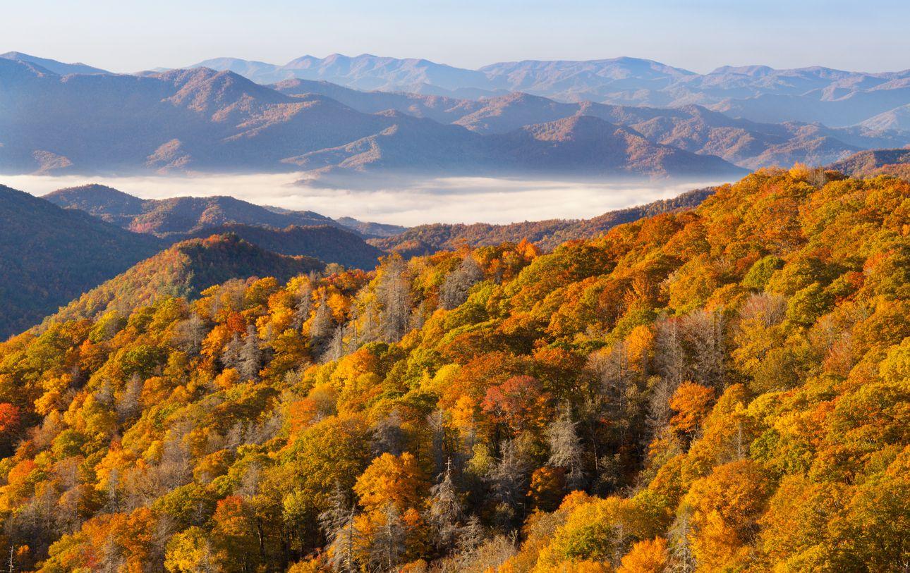 Fall colours, autumn, nature mountains, woodland cabins