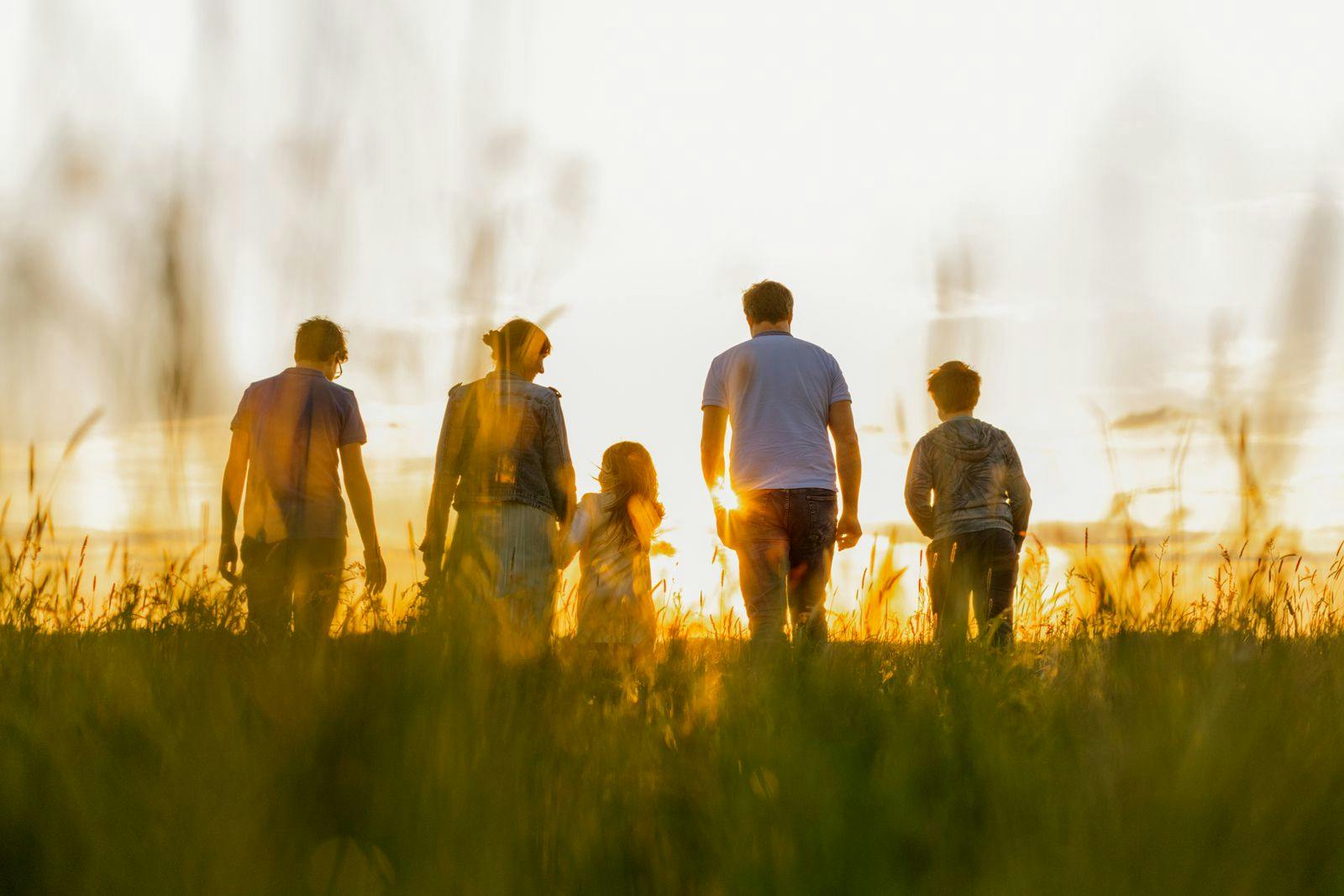 A family with three kids walking through a field into the sunset