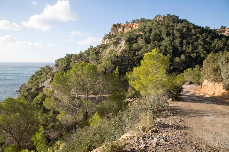 San Carlos setting in Ibiza, Faqs