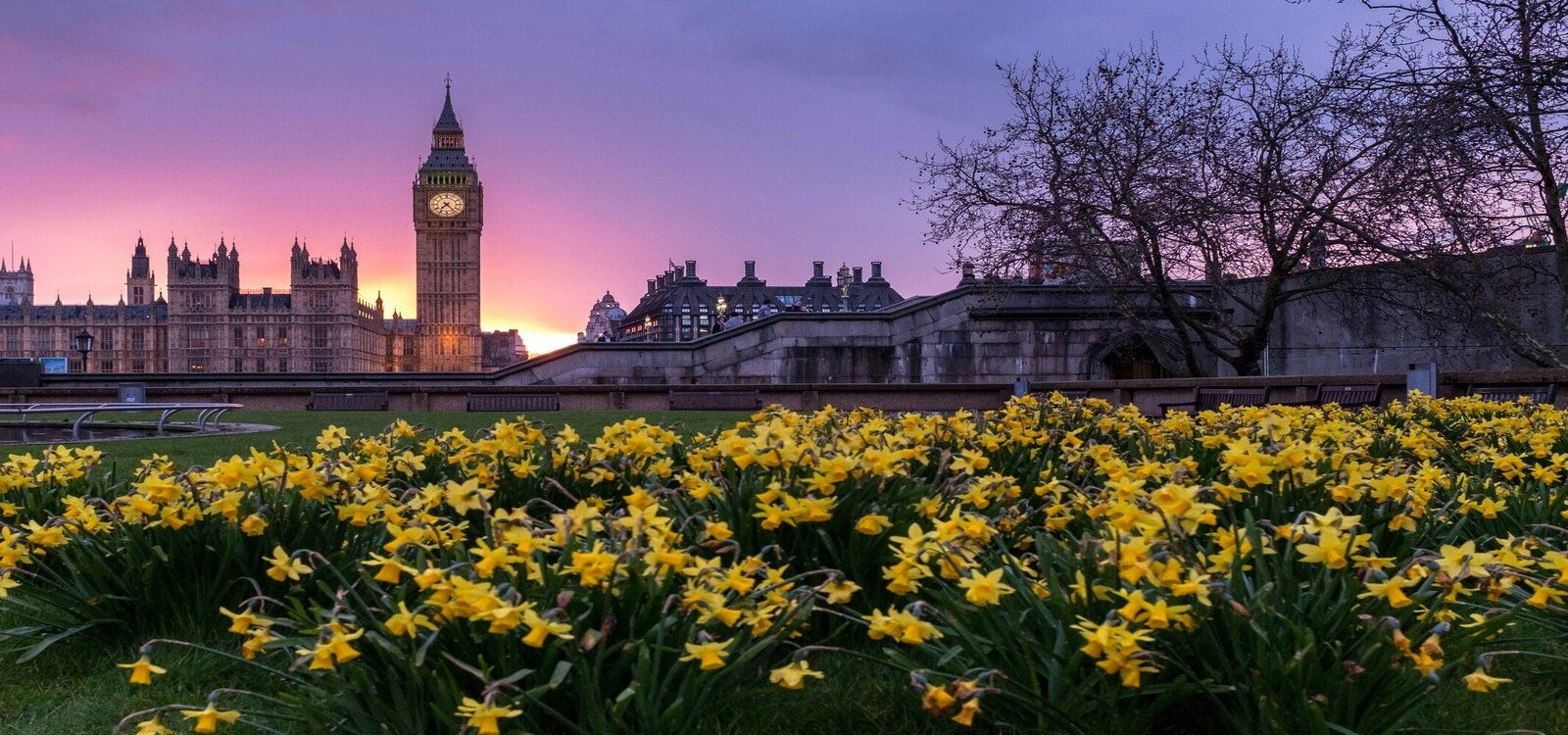 February half term vacation rentals, London city break, early blooming daffodils