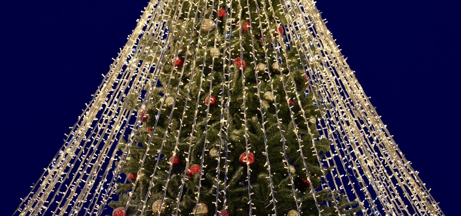 festival of trees event