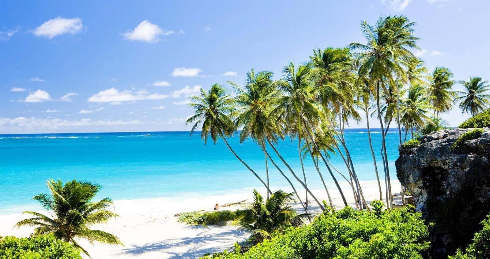 Palm trees on a white sand Barbados beach