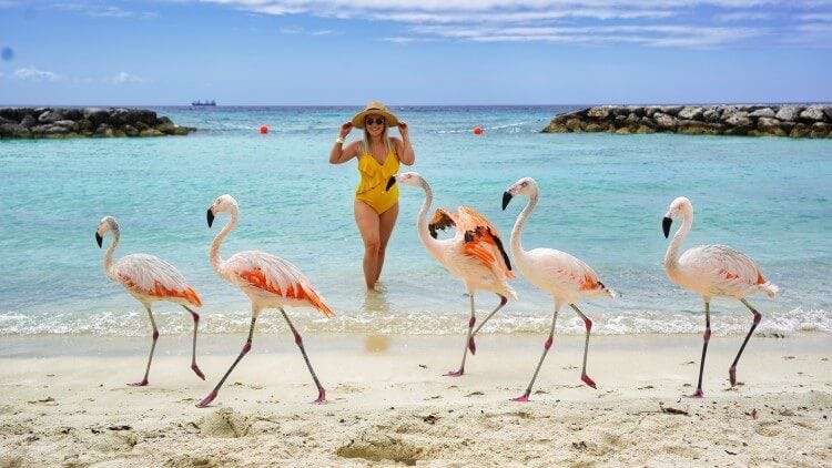 flamingo-beach.jpg