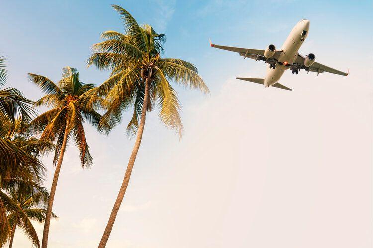 Flights, holidays, plane flying above palm trees, Top Villas