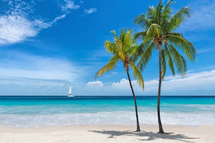 Florida beach resorts, Florida Keys beach, Top Villas
