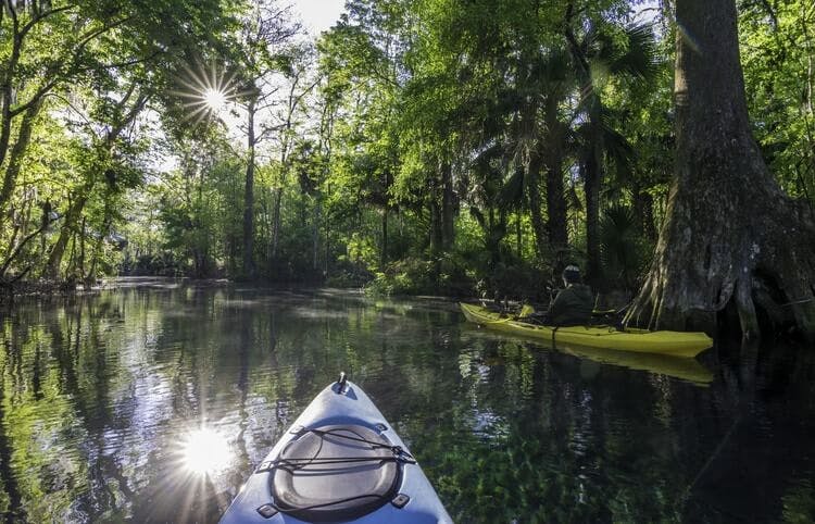 Point of view shot from inside a single person kayak drifting down a mangrove river in Florida