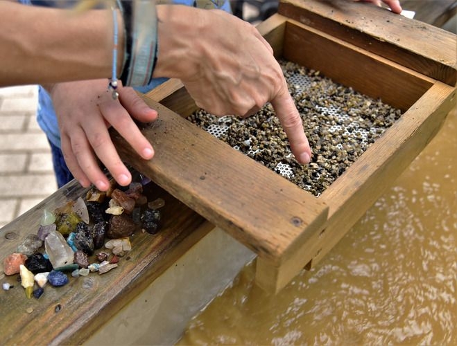 Things to do in Gatlinburg, fossils and gem hunting