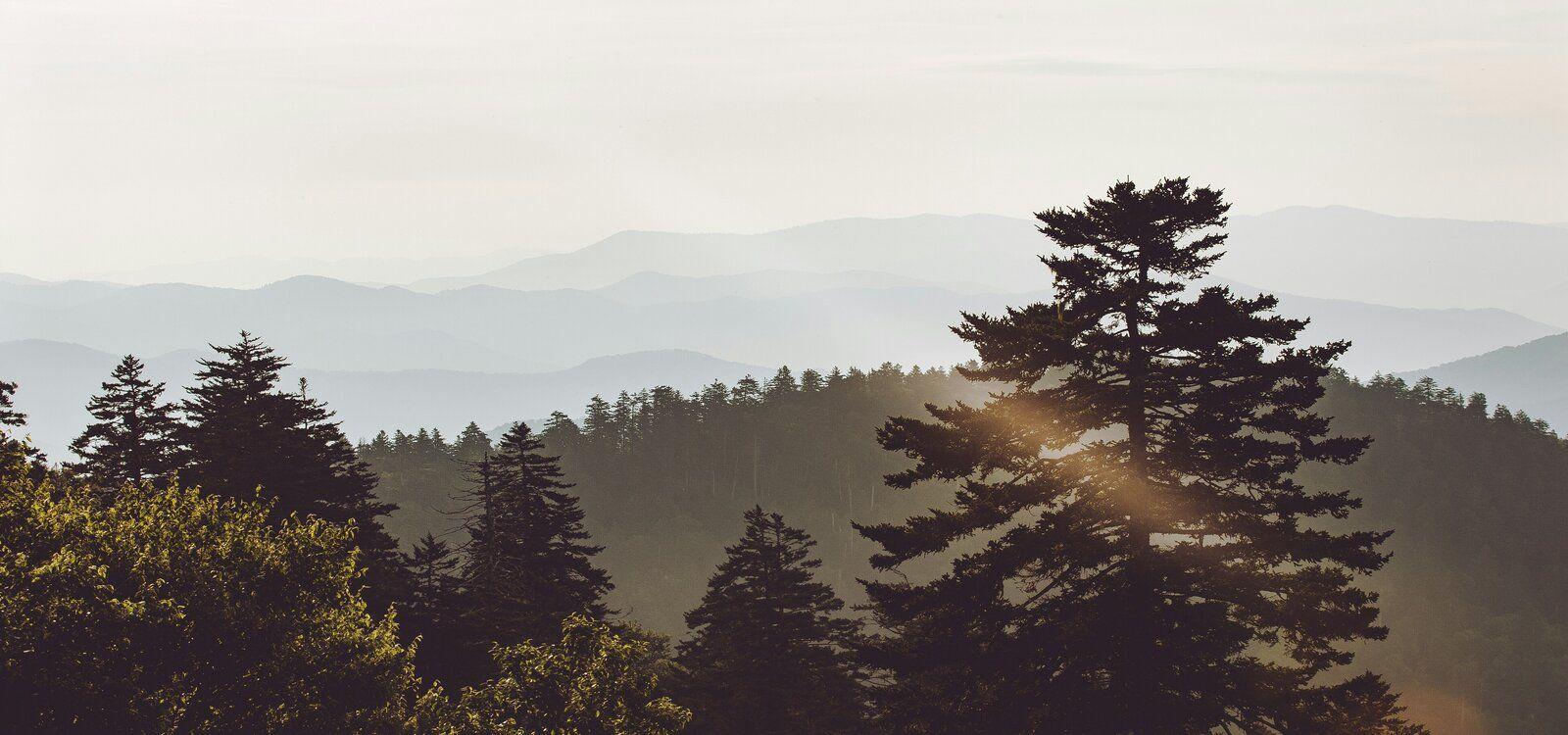 Gatlinburg cabins 5 bedroom rentals, forest mountain views, Top Villas