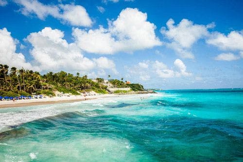 White sand beach and palm forest in Barbados