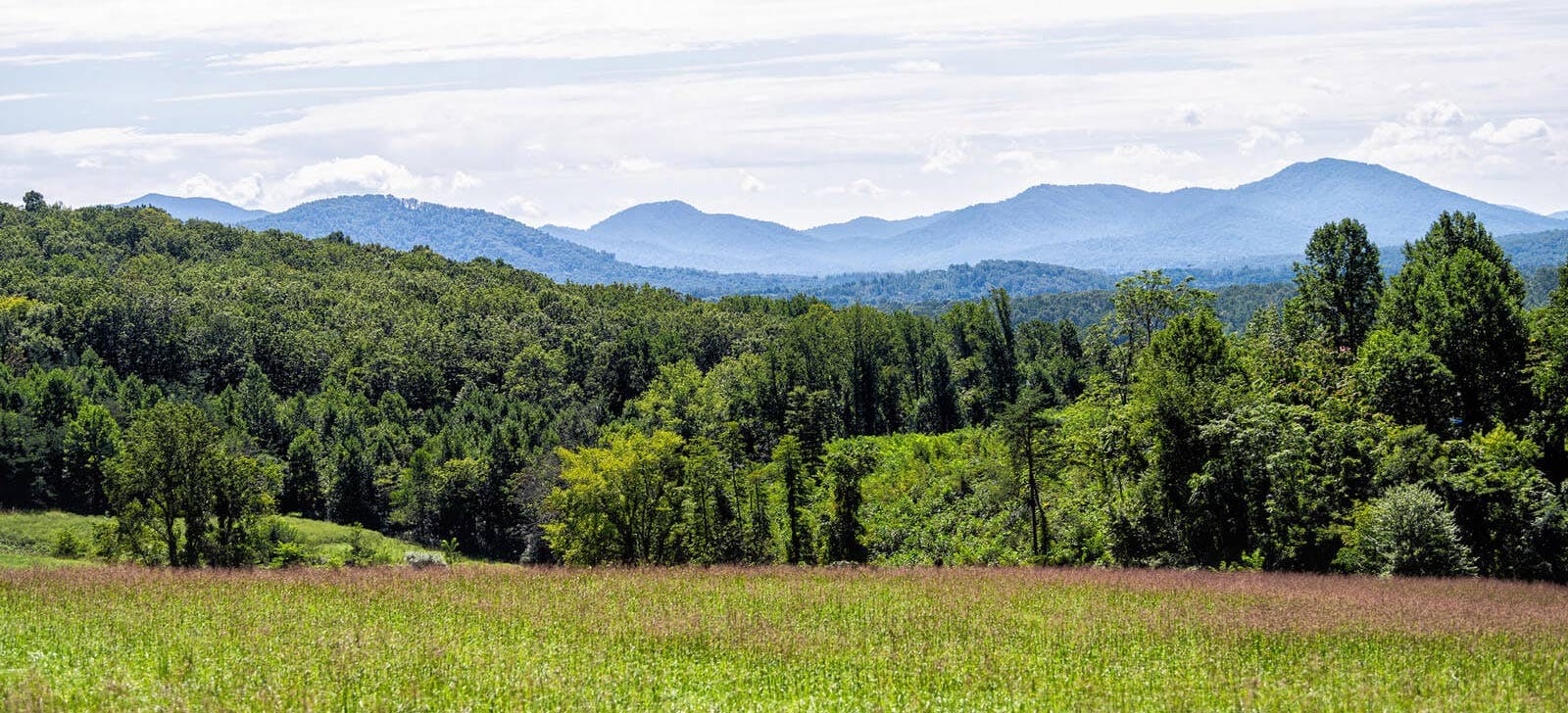 Virginia landscape with forests and mountains