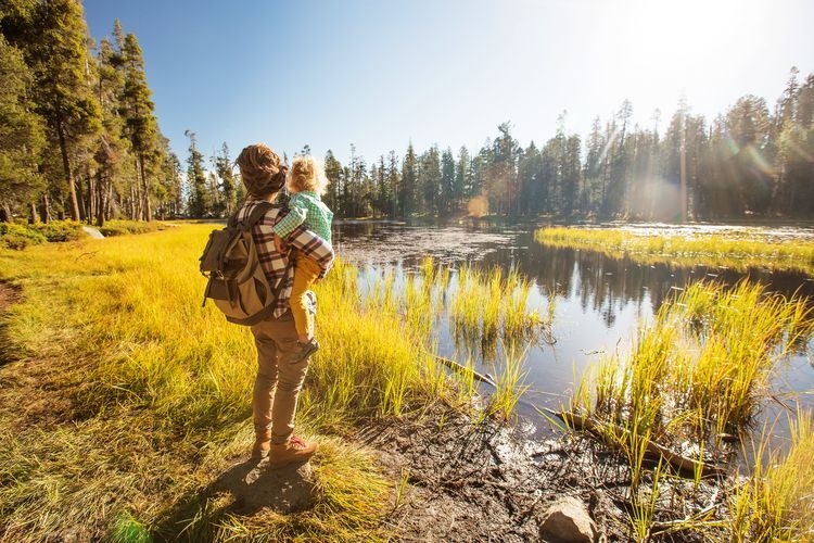 Best time to visit California, Yosemite national park in summer, Top Villas