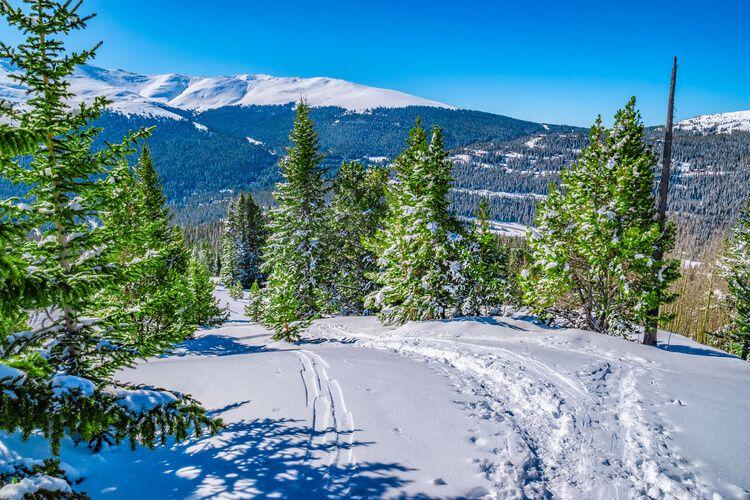 A view of the cross-country ski slopes