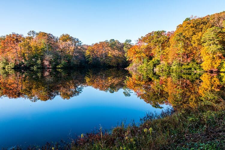 A tranquil view across a natural lake in Virginia