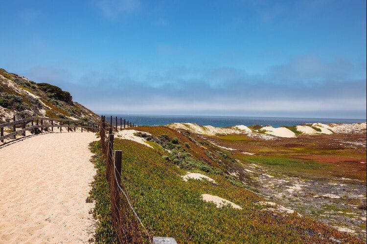 A scene of the Monterey Bay Coastal Recreation Trail