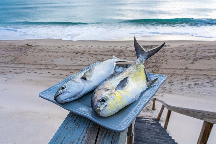 A plate of freshly caught fish overlook Melbourne Beach in Florida