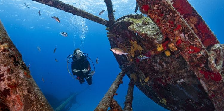 A diver explores an old ship wreck