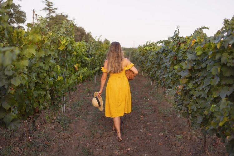A lady take a tour of a winery in Georgia