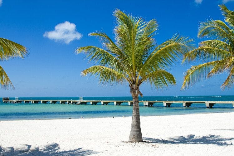A view of a Florida Keys beach near Islamorada